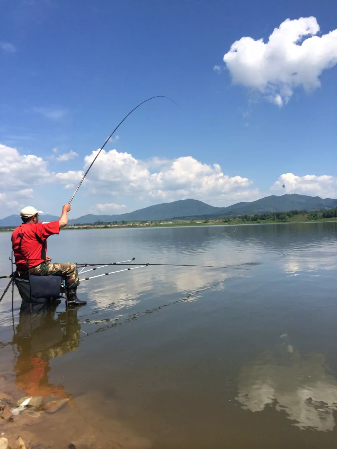 d7e00444e24644108d7fae3c03b4aaaf.jpeg d7e00444e24644108d7fae3c03b4aaaf.jpeg